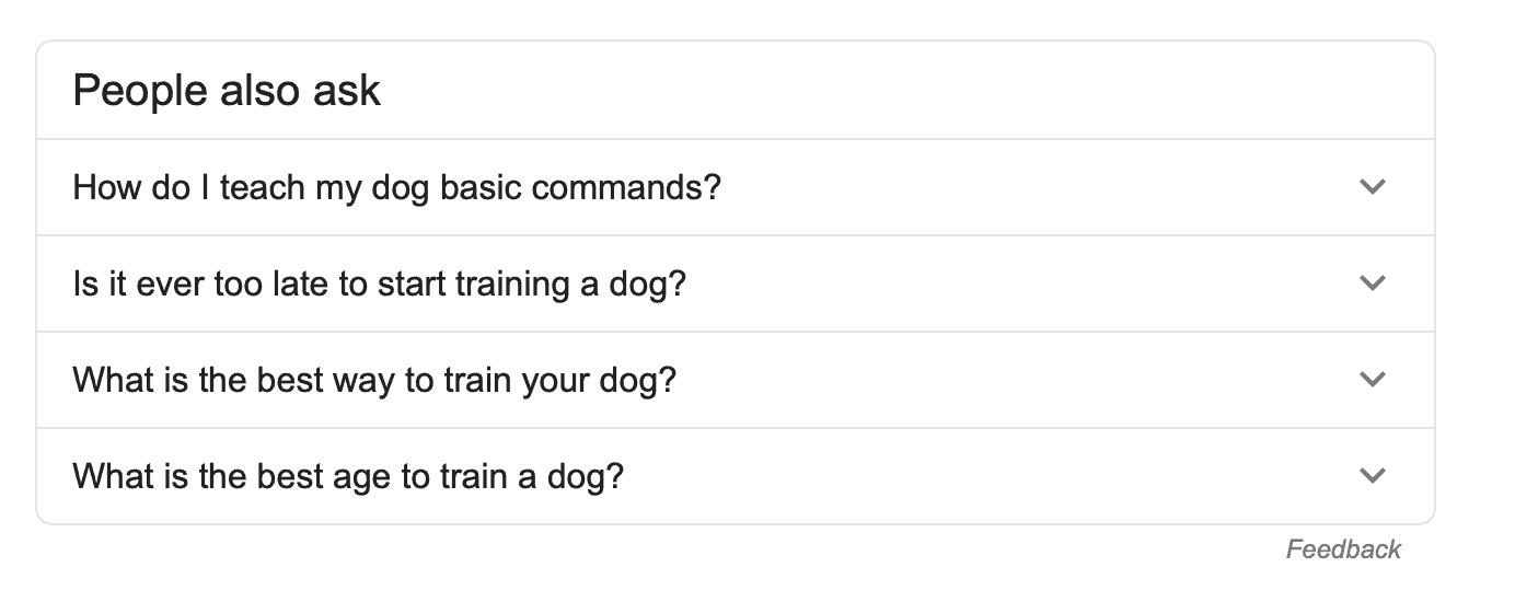 google people also ask example